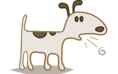 It’s all about that cough!